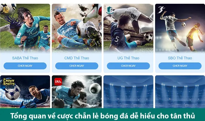 Khám phá các loại kèo chẵn lẻ bóng đá và kinh nghiệm chơi hiệu quả từ cao thủ